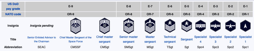 space force military ranks
